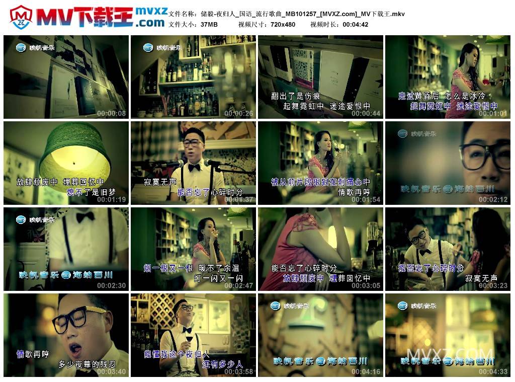 储毅-夜归人_国语_流行歌曲_MB101257